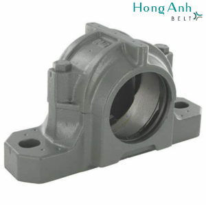 Thiết kế chưa có tên (3)